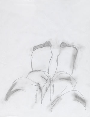 Georgia's drawing of her feet.