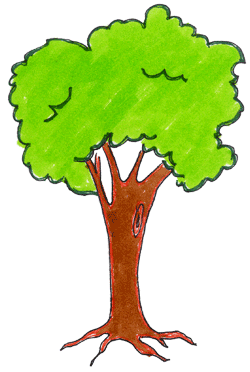 Drawing of tree.